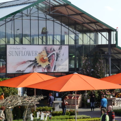 Sunflower Gartencenter (FOTO Silvana Enz)